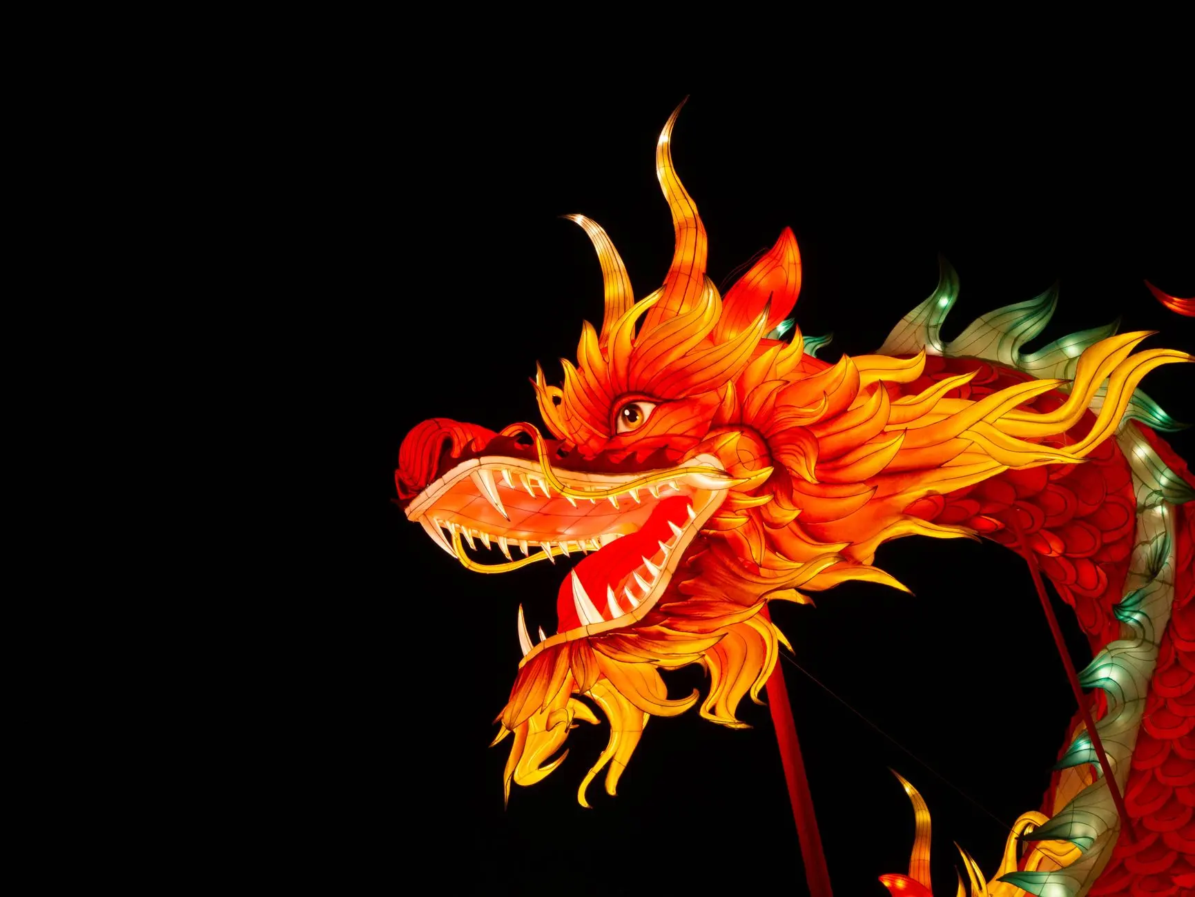 2024年美睫产品价格对比:日式嫁接与自然款睫毛护理方案